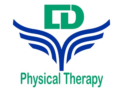 Logo with green 'LD' above blue wings and 'Physical Therapy' text below.